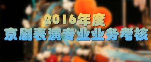 色色色欧美逼国家京剧院2016年度京剧表演专业业务考...